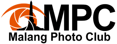 Collaborator 11