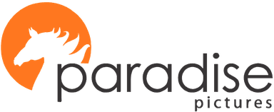 Collaborator 2