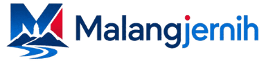 Media Partner 65